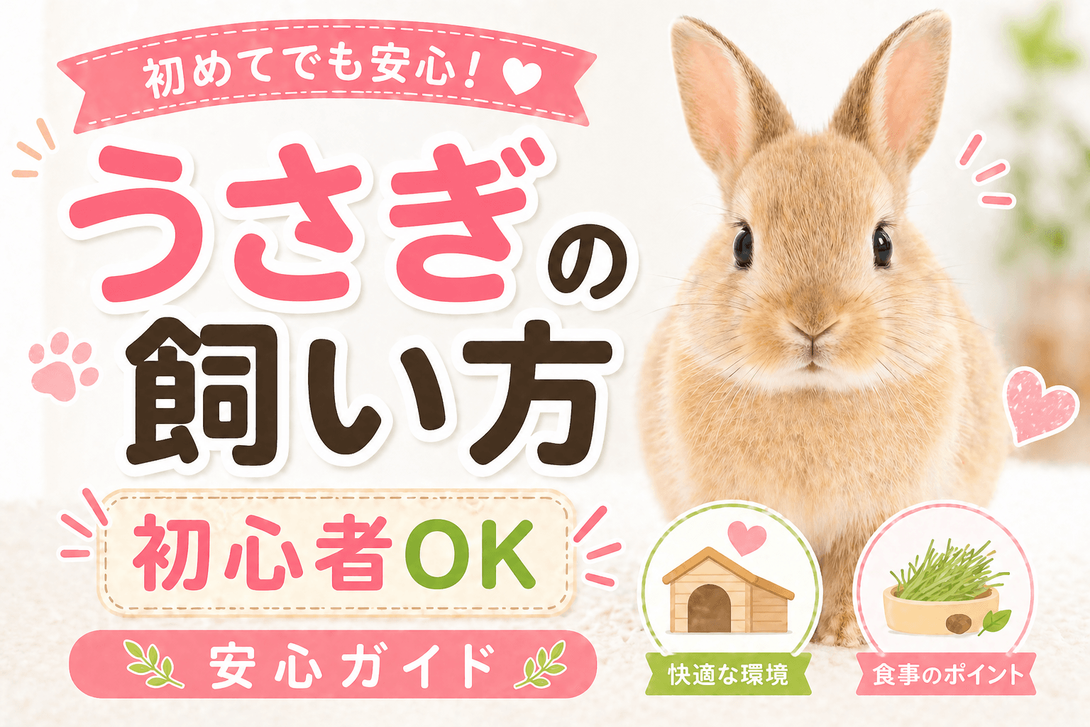 ウサギの飼い方ガイド|初めてでも安心の飼育マニュアル完全版